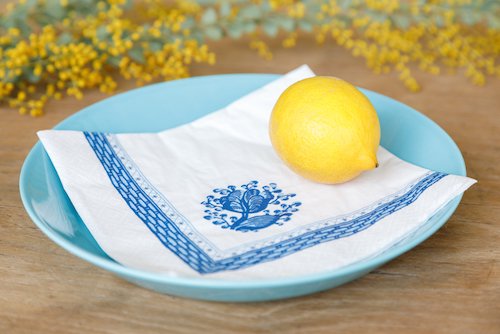 ロイヤルコペンハーゲン トランクェーバー エコペーパーナプキン Mサイズ/20枚入り×5セット