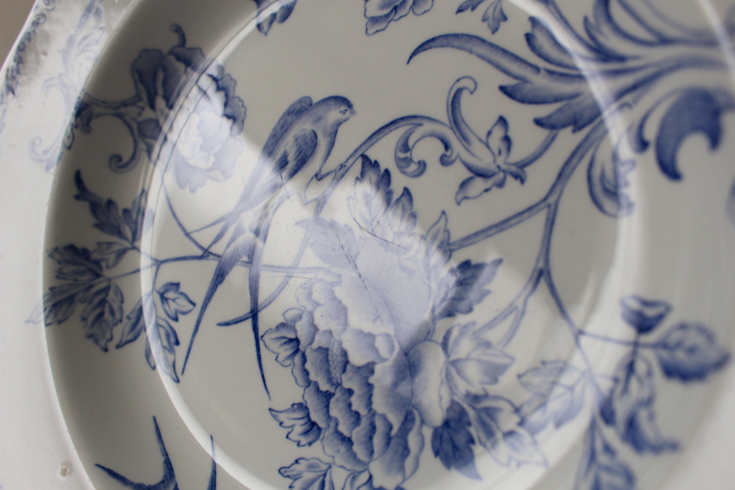 ロールストランド/Rorstrand スバーラ/Svala 深皿23.5cm